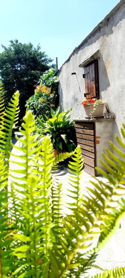 A Casa Di Roby Hotel Pinerolo Buitenkant foto