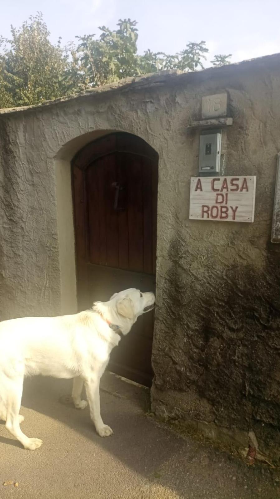 A Casa Di Roby Hotel Pinerolo Buitenkant foto